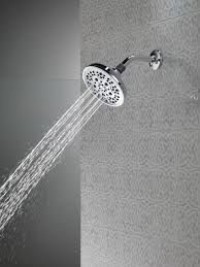 Shower head