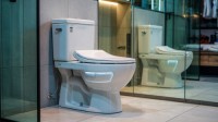 Ceramic Toilet